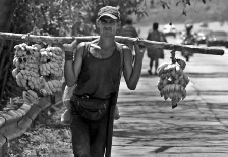  Cuban farmer and his bananas.