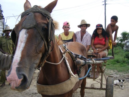 The blockade has seriously hurt the Cuban economy. Photo: Elio Delgado