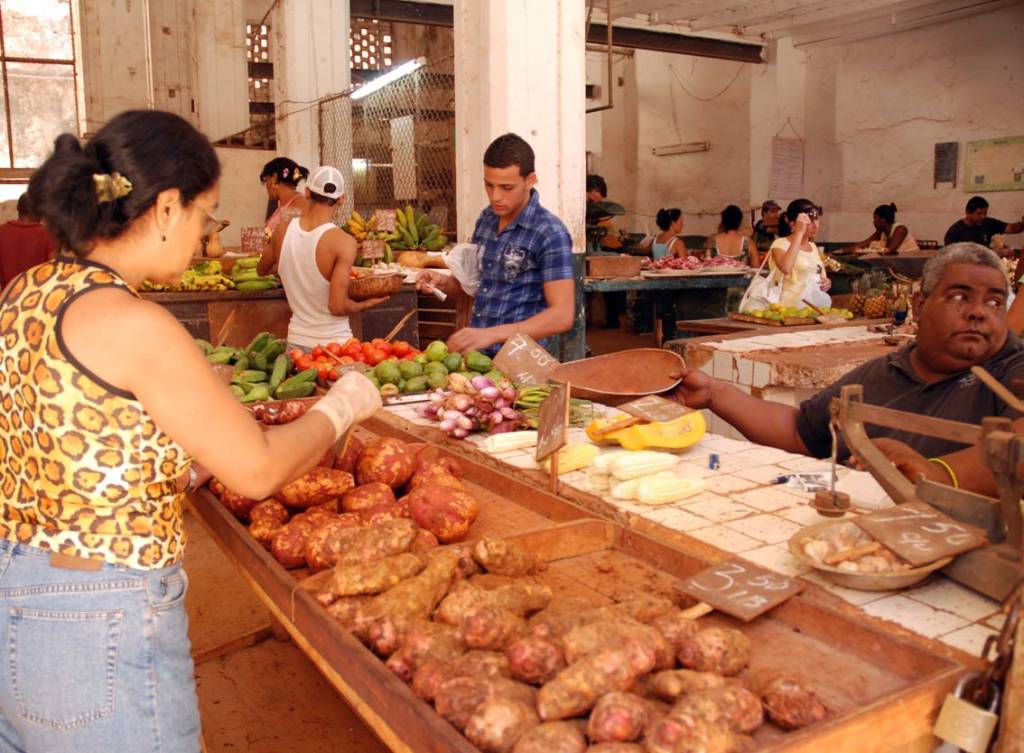 Market Vendor.  Photo: Caridad