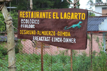 El restaurante El Lagarto.