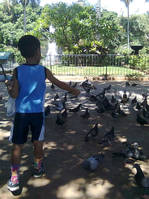 Feeding the pigeons at the Plaza de Armas in Old Havana.