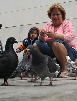 Feeding the pigeons on Obispo Street.