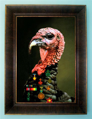 Turkey with a frame.