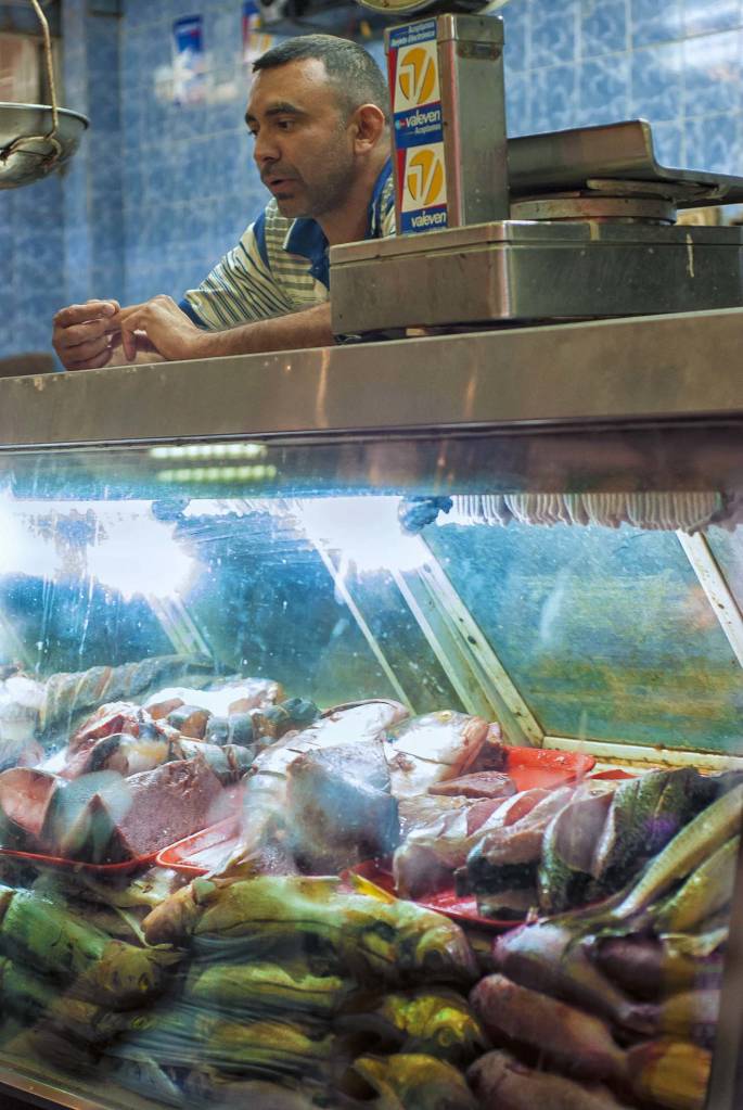 Fish counter at the Catia Market.