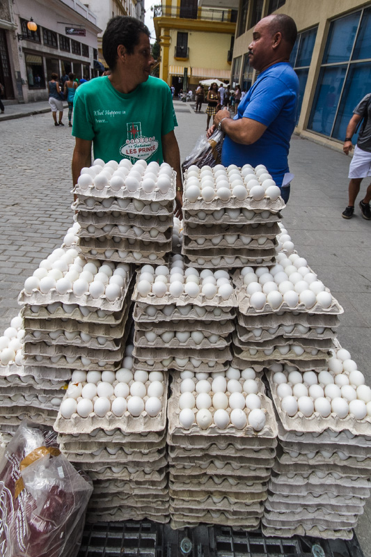 Egg delivery.  Photo: Juan Suárez
