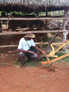 Tarirai Mpofu with draft animal implements. Photo: pinterest.com