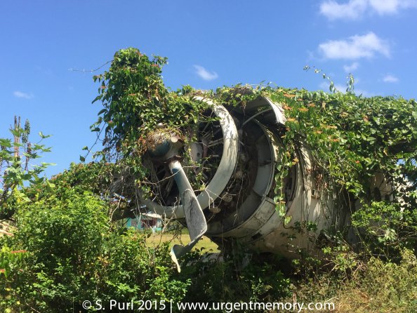 Overgrown Cuban plane at Pearls, left there from the time of the Grenada Revolution