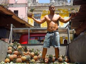 Street vendor selling pineapples. Photo: Alfonso Aguilar