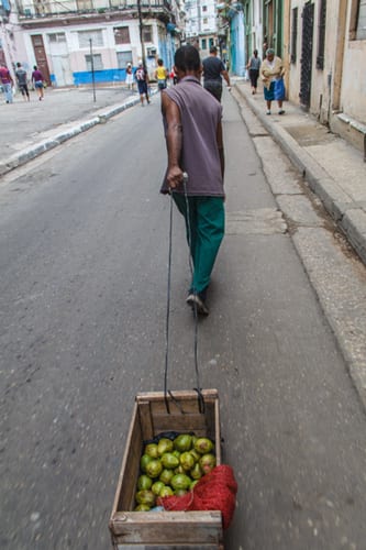 Man selling guavas. Photo: Juan Suarez