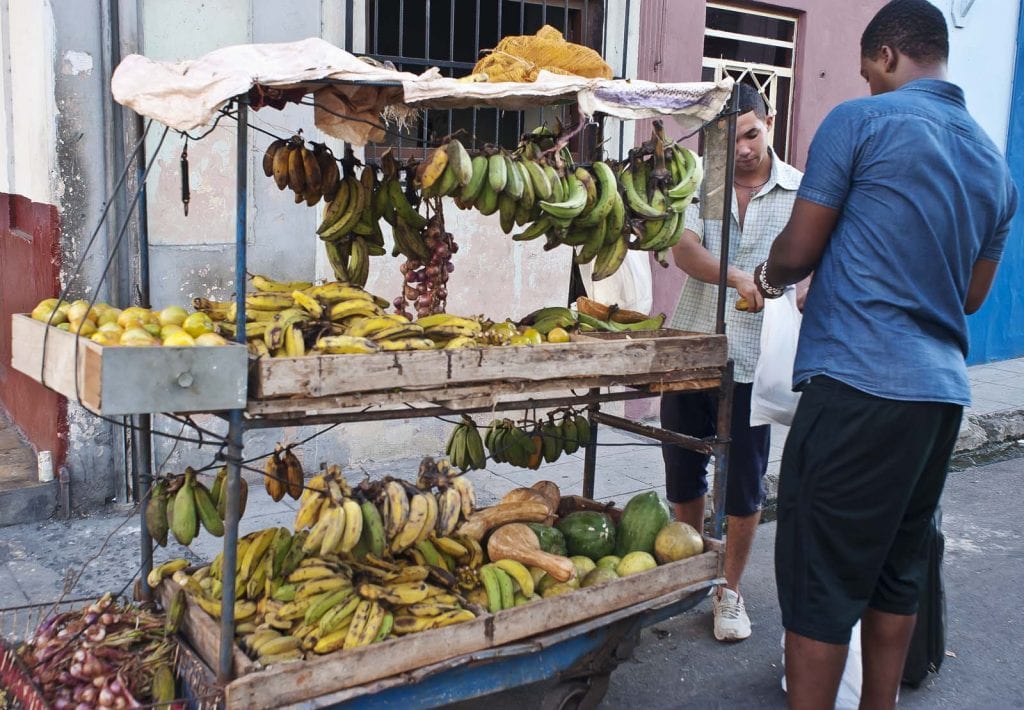 A recent crackdown could make vegetable and fruit carts an endangered species.
