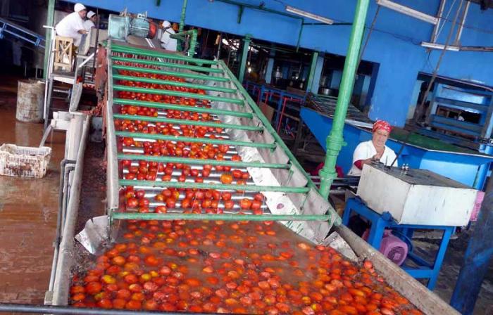 La Conchita has had problems getting enough tomatoes to meet its production goals for different products.