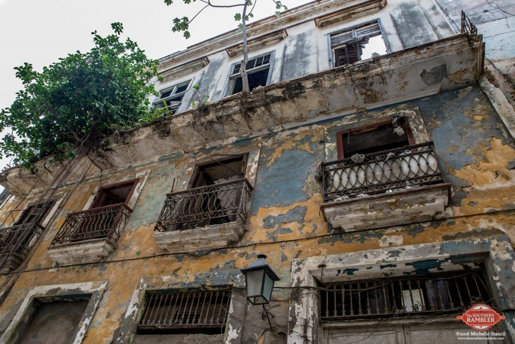 Trees grow out of a balcony after 50 years of neglect of once-grand houses in Havana (Michelle Stancil)