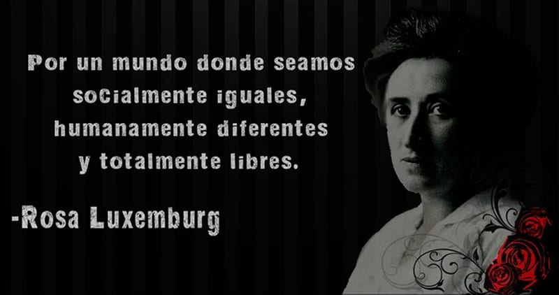 For a world where we are socially equal, humanly different and totally free. - Rosa Luxemburg