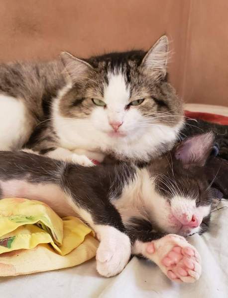 FB_IMG_1768615361950