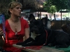 007 A Cuban Dog Show