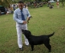 028 A Cuban Dog Show