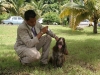 029 A Cuban Dog Show
