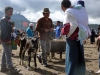 31- Animal fair in Otavalo.