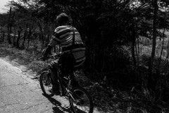 Man riding a bicycle on the  road from Carorita to  Lara, Venezuela