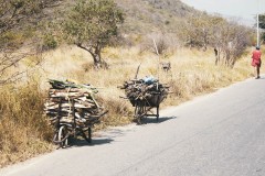 Wheelbarrows with cuji fire wood on the road from Carorita to  Lara, Venezuela