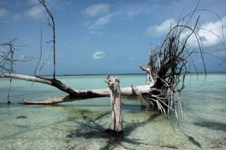 One thing Cuba and Palau have in common is water.  Photo: Caridad