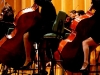 Camerata Romeu chamber orchestra