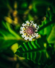 DSCN0045