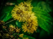 DSCN0062