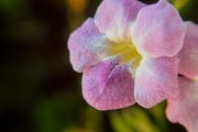 DSC_0916