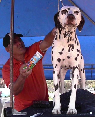 Cuban dog breeders show their breeds