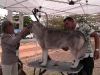 Cuban dog breeders show their breeds