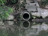 0014 Drains flowing into the Almendares river