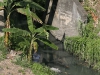 0027 Drains flowing into the Almendares river