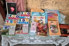 Children’s books at Felicia’s small book stand in Havana.