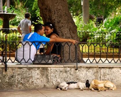 Couples in Old Havana.  Photo: Caridad 