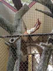 IMG_20260109_151709_765_1_11zon