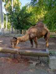 IMG_20260109_152119_663_2_11zon