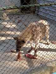 IMG_20260109_152612_304_4_11zon