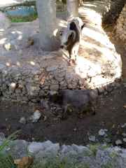 IMG_20260109_152905_823_5_11zon