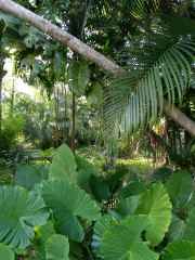 IMG_20260109_153248_308_6_11zon