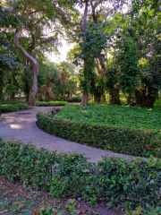 IMG_20260109_153404_648_7_11zon