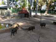 IMG_20260109_153910_992_8_11zon