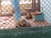 WhatsApp-Image-2026-01-21-at-11.37.32-PM