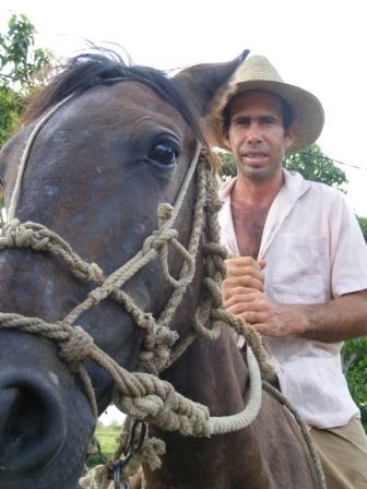 Mule Drivers in Cuba