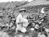 agricultores de trujillo, venezuela