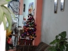Christmas Season 2010 in Havana
