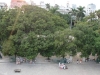 View from the lookout of the Capitantes Generales Plaza.