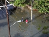 Flooding in Havana January 23, 2016.