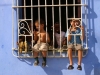 Kids in a window, Trinidad.  Photo by James NG
