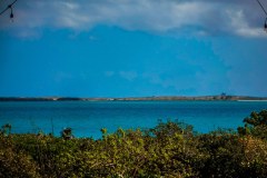 DSCN0137
